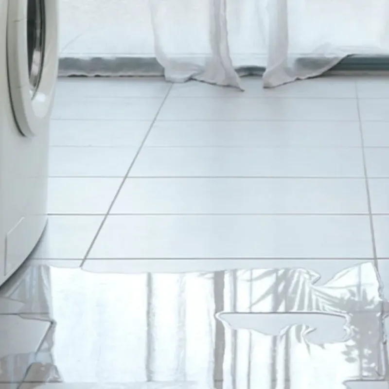 Appliance Leak Cleanup in Bartow, FL